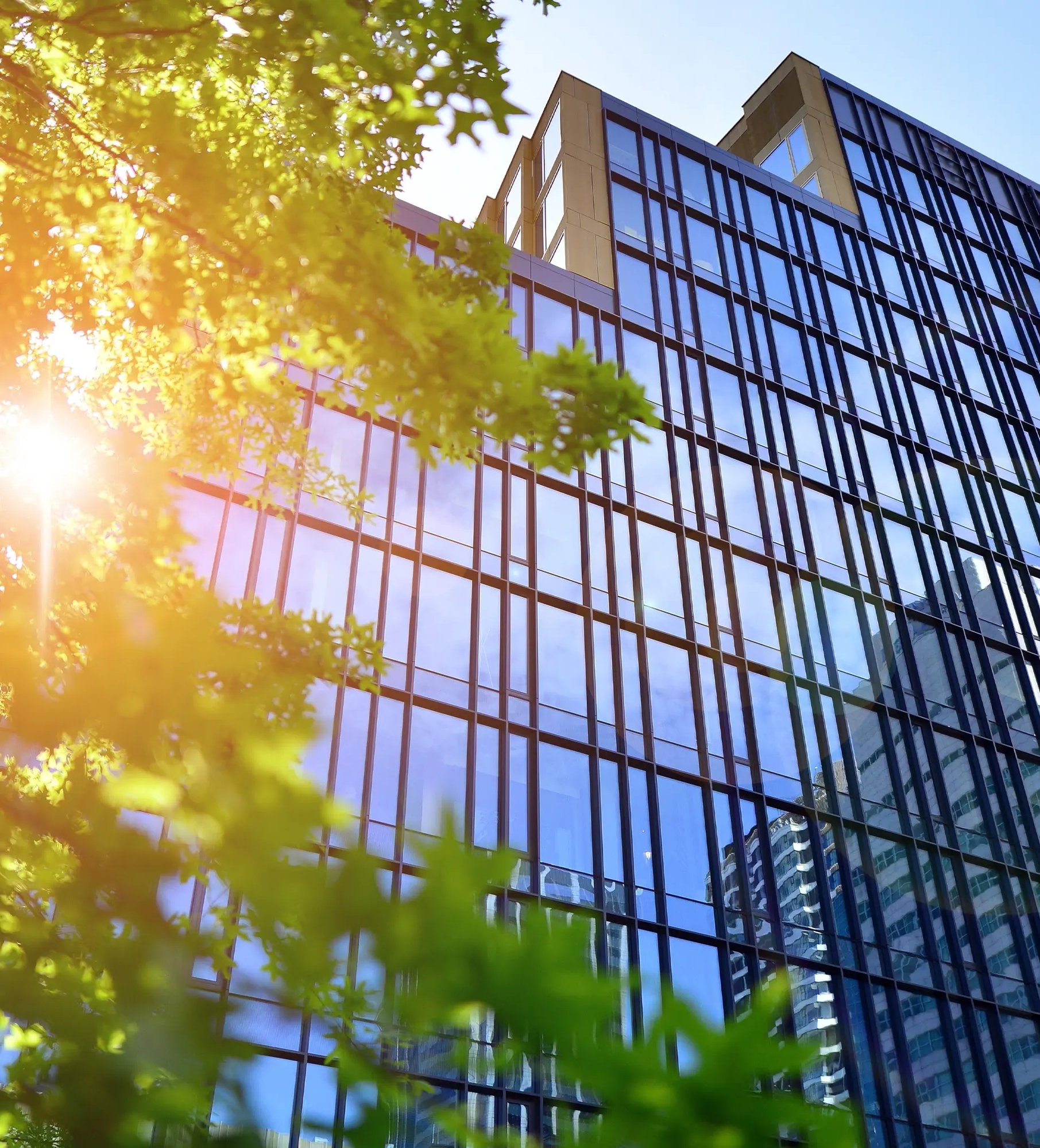 sustainable managed print