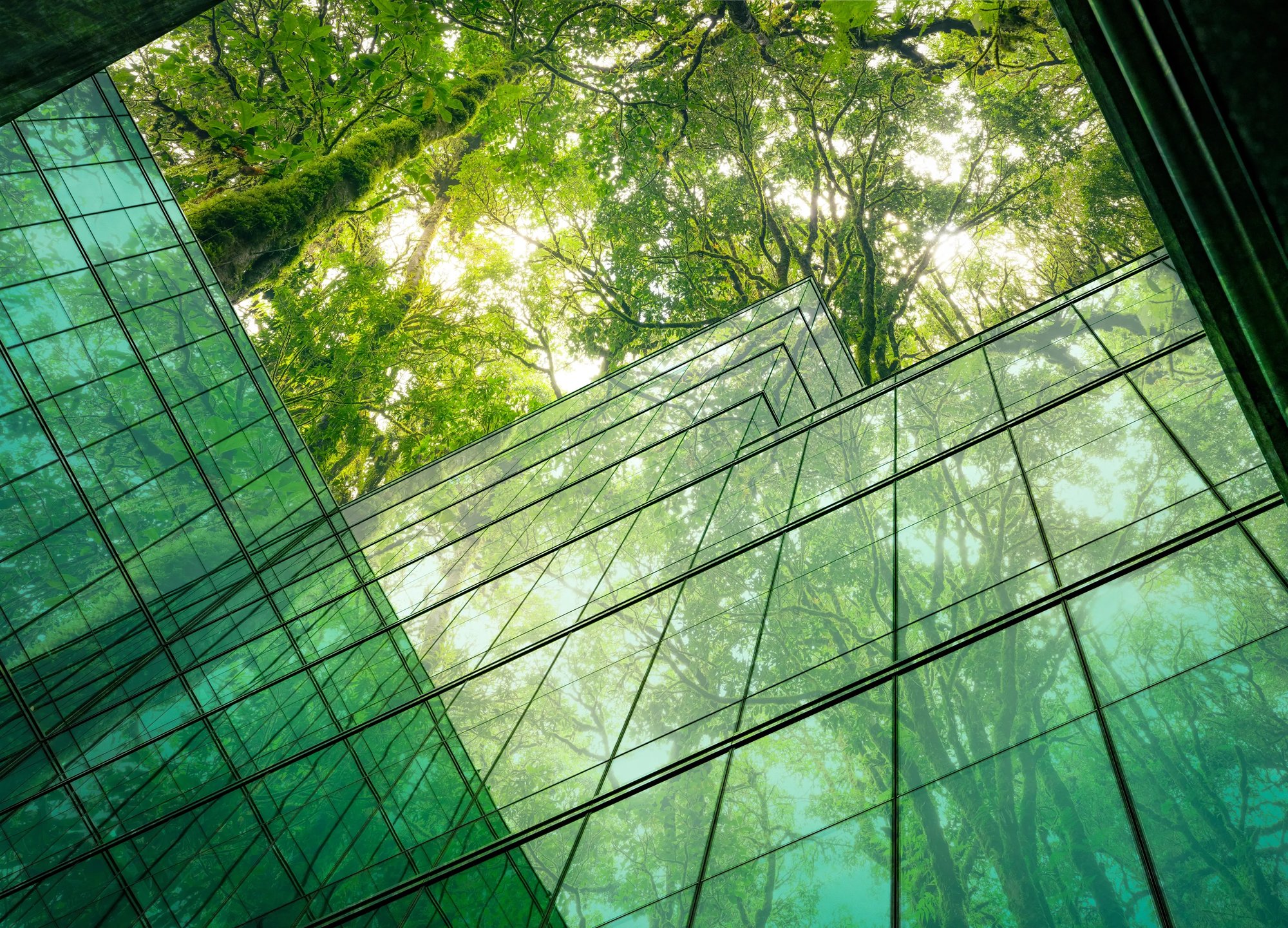 Supporting Sustainable Workplace